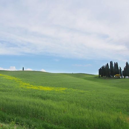 Agriturismo Santa Maria Torrita di Siena Zewnętrze zdjęcie