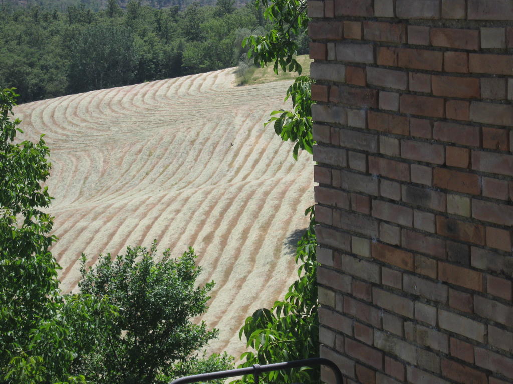 Agriturismo Santa Maria Torrita di Siena Zewnętrze zdjęcie