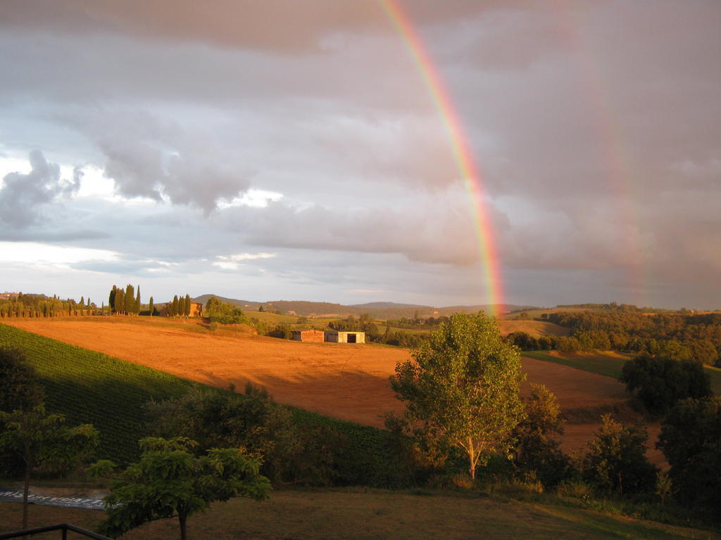 Agriturismo Santa Maria Torrita di Siena Zewnętrze zdjęcie