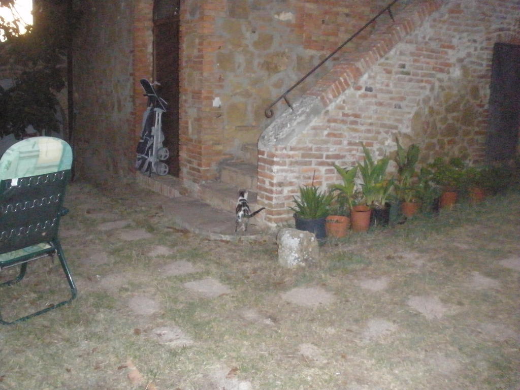Agriturismo Santa Maria Torrita di Siena Zewnętrze zdjęcie