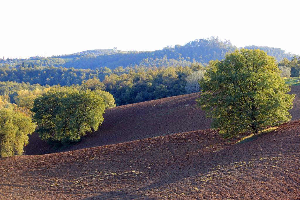 Agriturismo Santa Maria Torrita di Siena Zewnętrze zdjęcie