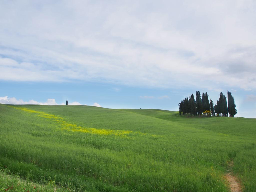 Agriturismo Santa Maria Torrita di Siena Zewnętrze zdjęcie
