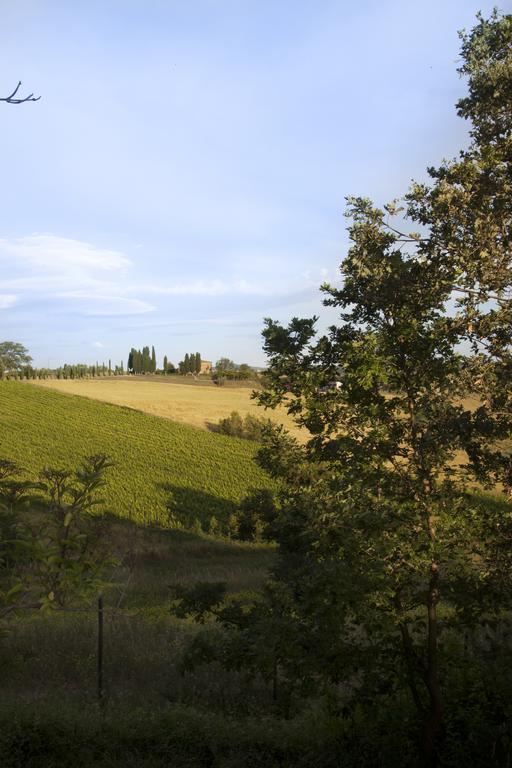 Agriturismo Santa Maria Torrita di Siena Zewnętrze zdjęcie
