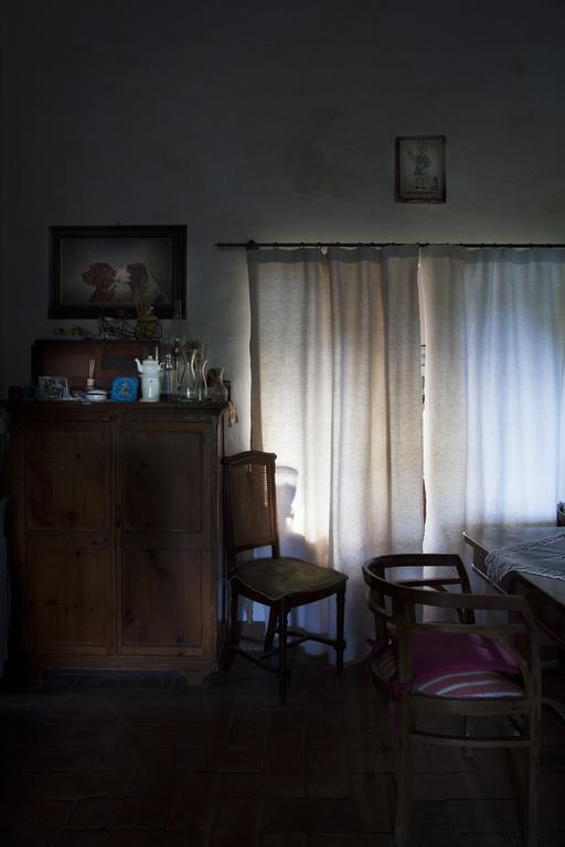 Agriturismo Santa Maria Torrita di Siena Zewnętrze zdjęcie