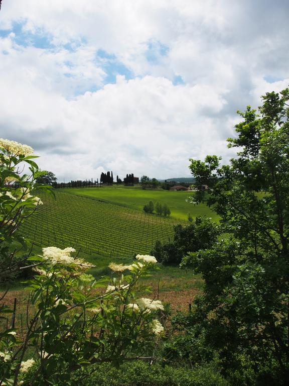 Agriturismo Santa Maria Torrita di Siena Zewnętrze zdjęcie