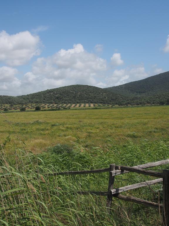 Agriturismo Santa Maria Torrita di Siena Zewnętrze zdjęcie