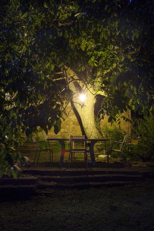Agriturismo Santa Maria Torrita di Siena Zewnętrze zdjęcie