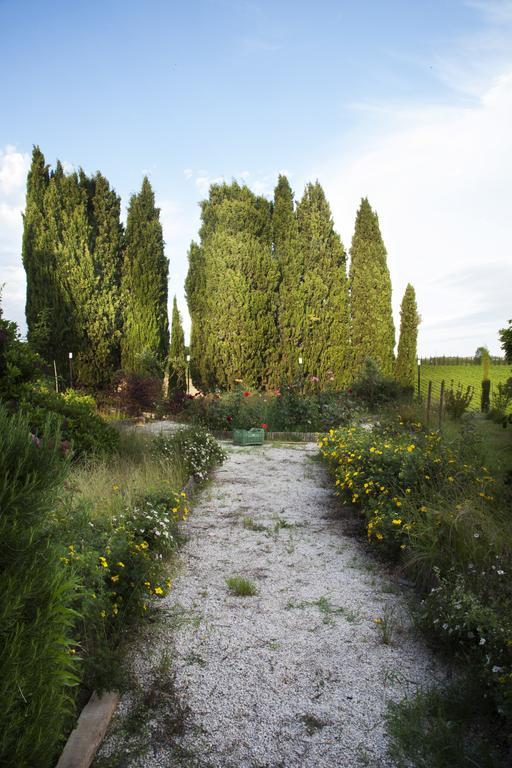 Agriturismo Santa Maria Torrita di Siena Zewnętrze zdjęcie